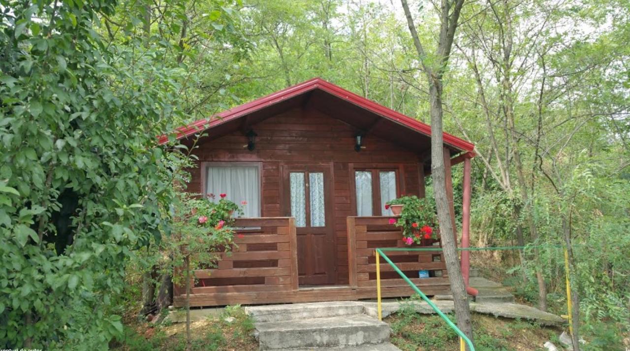 Gratca Nr 164 Orsova Villa Exterior foto